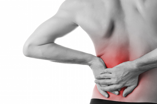 Prevention and Treatment Options for Low Back Pain Provided by Vancouver Chiropractor