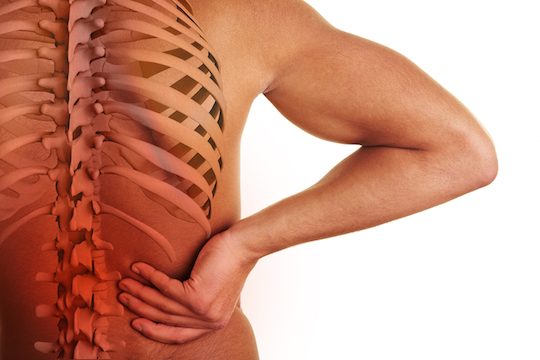 Back Pain Advice Provided by Vancouver Chiropractor